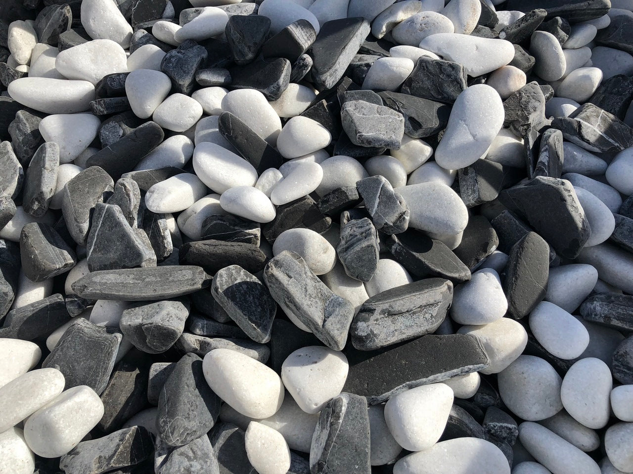 Canto rodado Dalmata