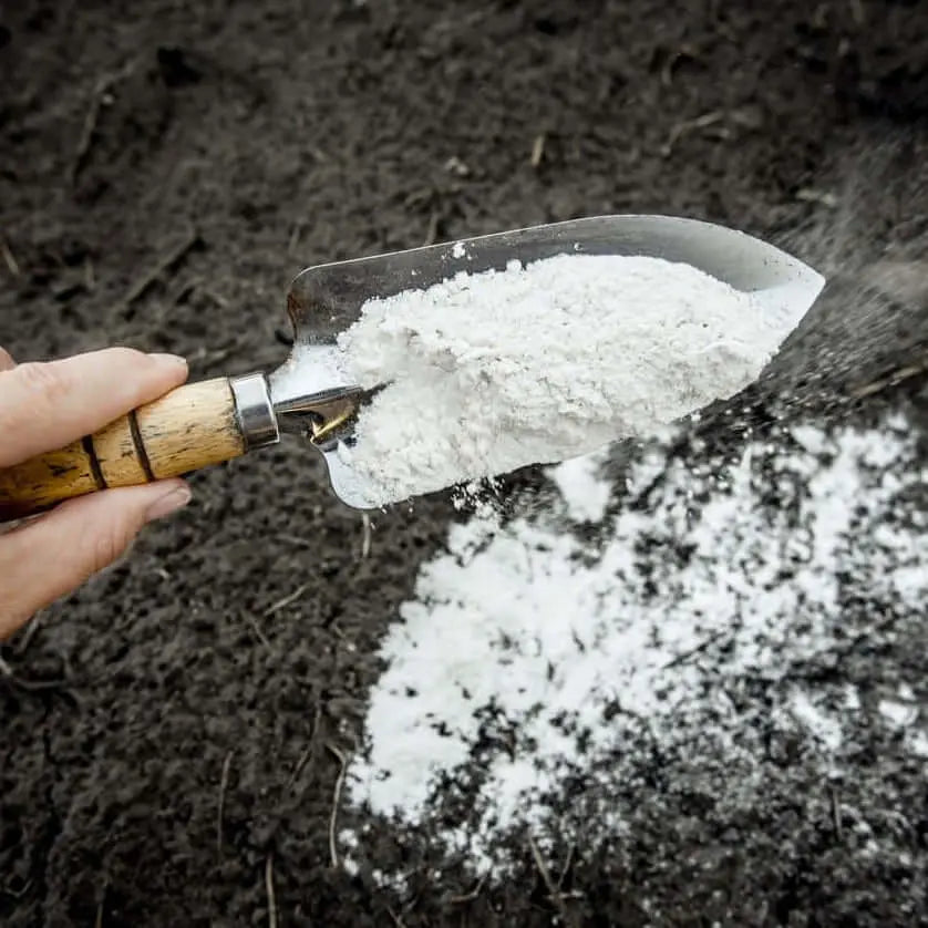 Carbonato cálcico o Cal Agrícola de calcio