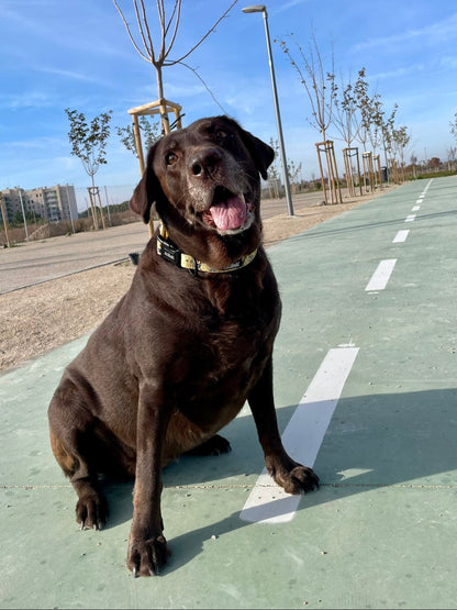 Collar Ajustable Kenia