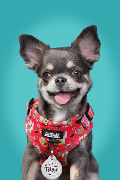 Arnés Ajustable Tokio