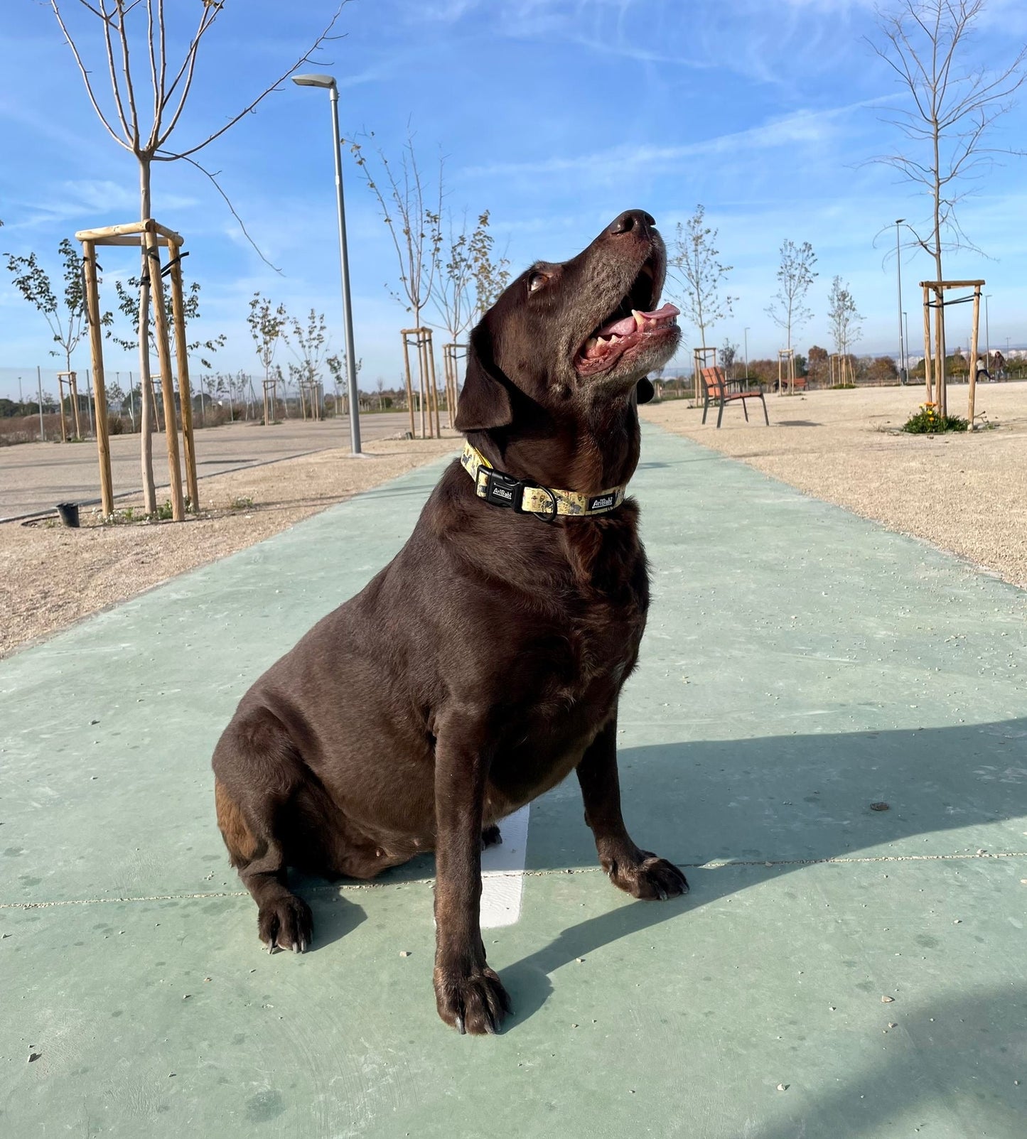 Collar Ajustable Kenia