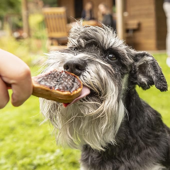🔥 SmartBones BBQ Lamb Chops – La experiencia parrillera que tu perro estaba esperando 🔥(8 uds) 232 g