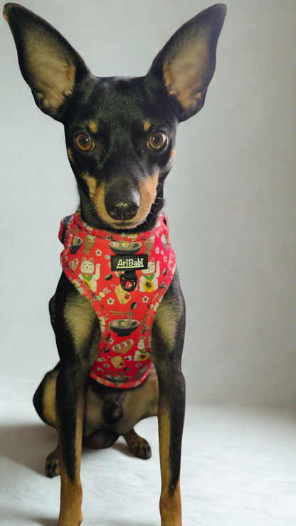 Arnés Ajustable Tokio