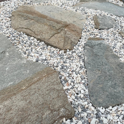 Planchoncillo Plata Bicolor