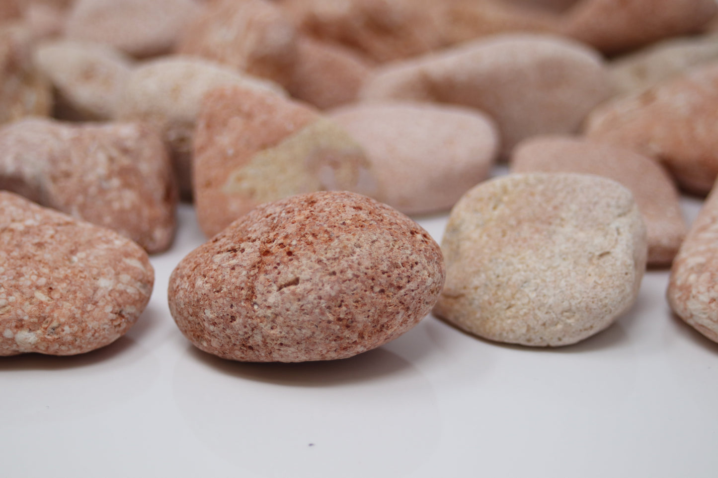 Canto rodado Rosa Toulouse