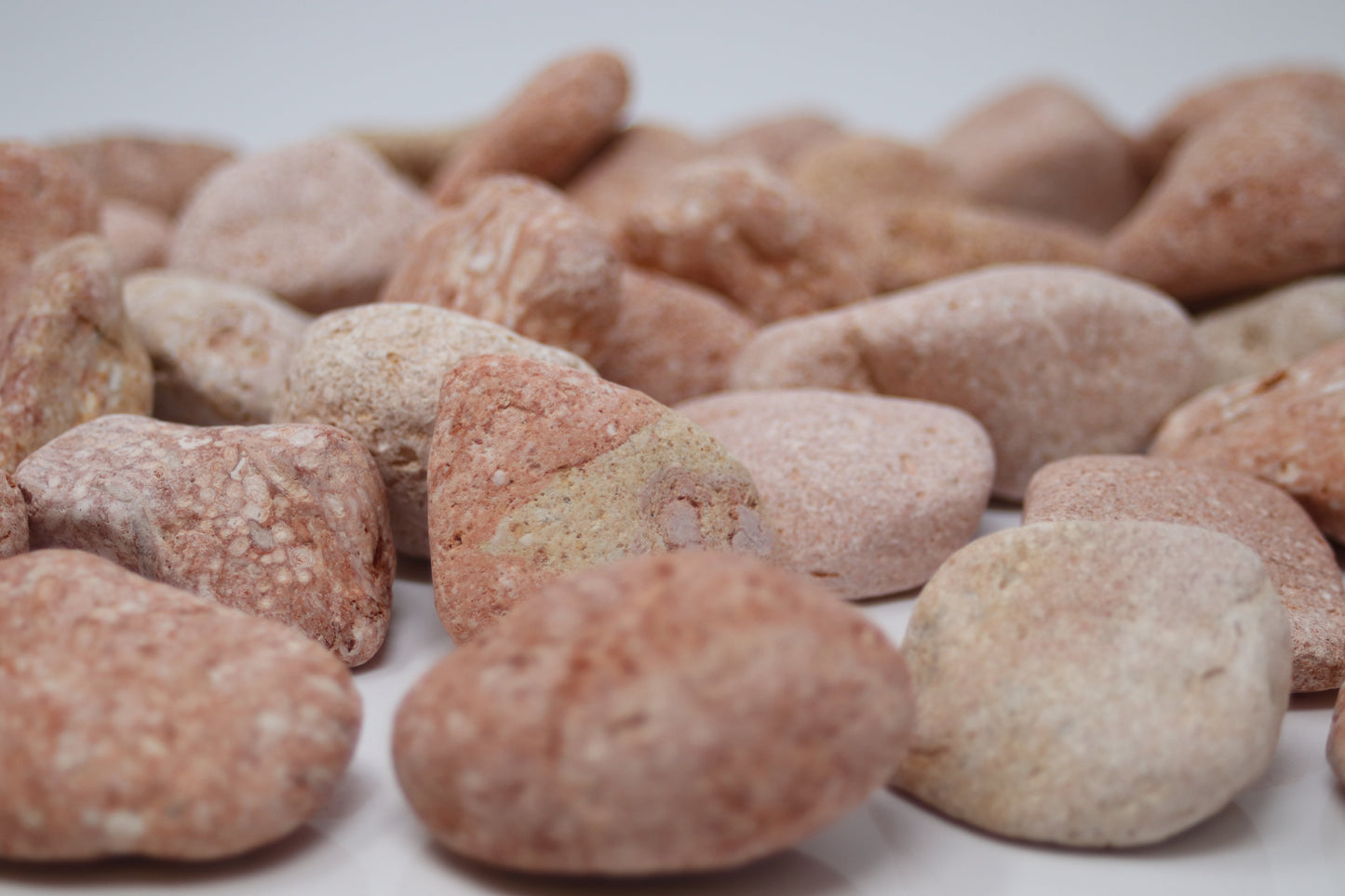 Canto rodado Rosa Toulouse