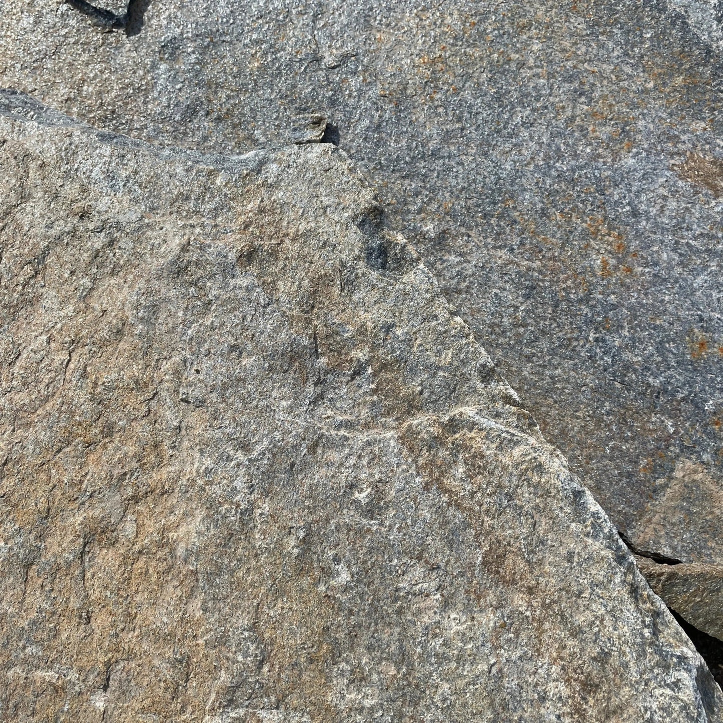 Planchoncillo Dorado y Azul