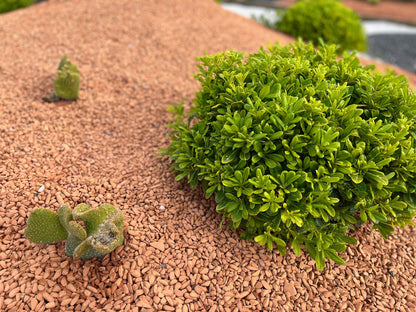 Canto rodado Chamota