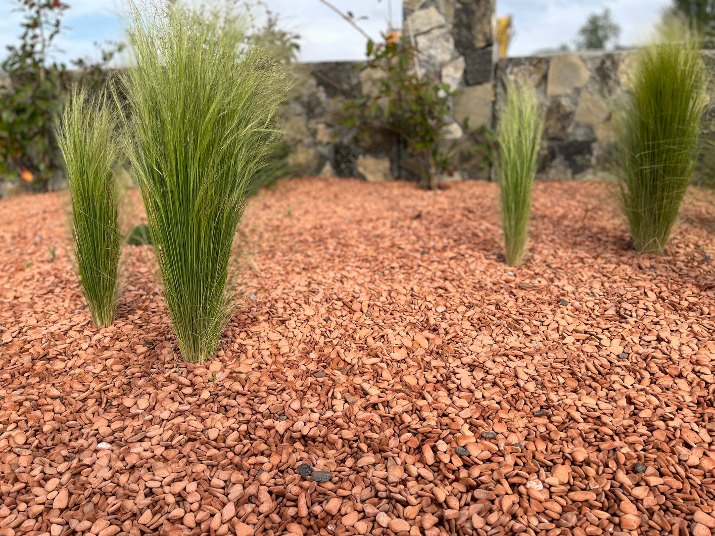 Canto rodado Chamota