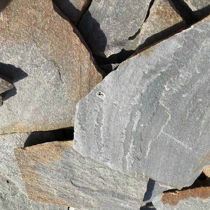 Planchoncillo Plata Bicolor