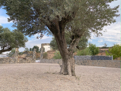 Canto rodado Rio Gris