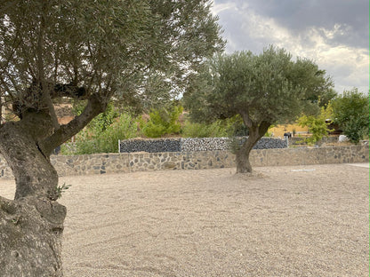 Canto rodado Rio Gris