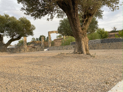 Canto rodado Rio Gris