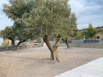 Canto rodado Rio Gris