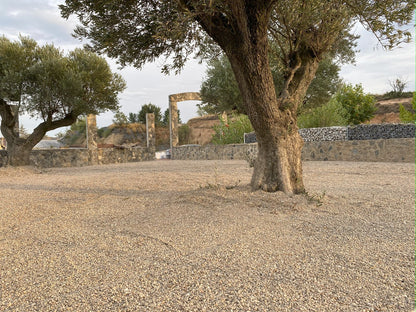 Canto rodado Rio Gris