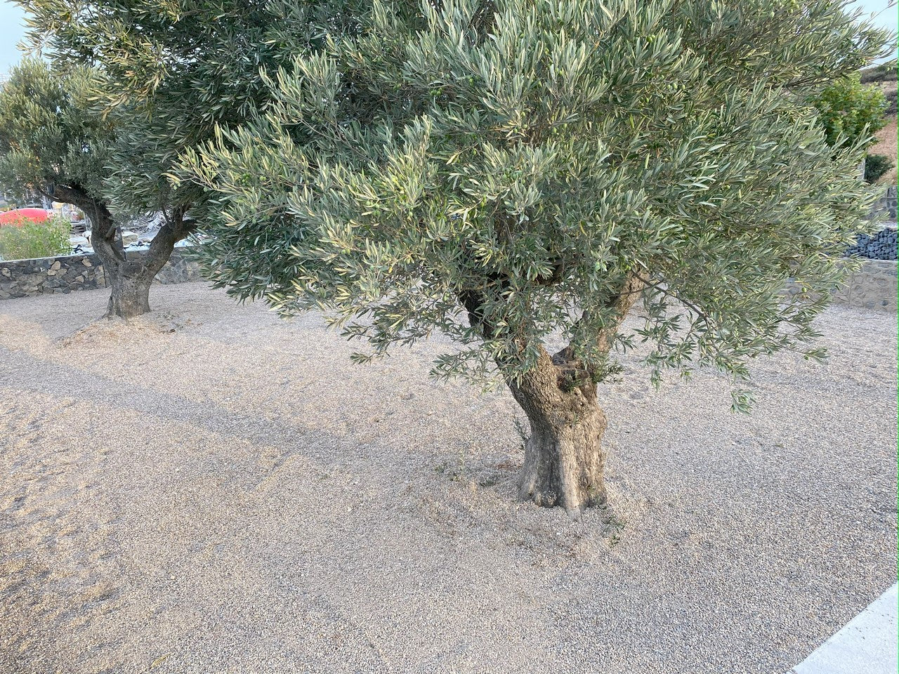 Canto rodado Rio Gris