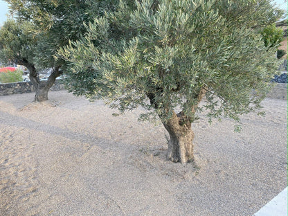 Canto rodado Rio Gris