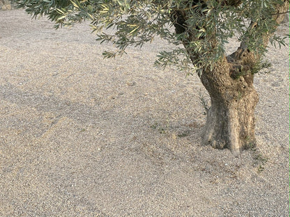 Canto rodado Rio Gris