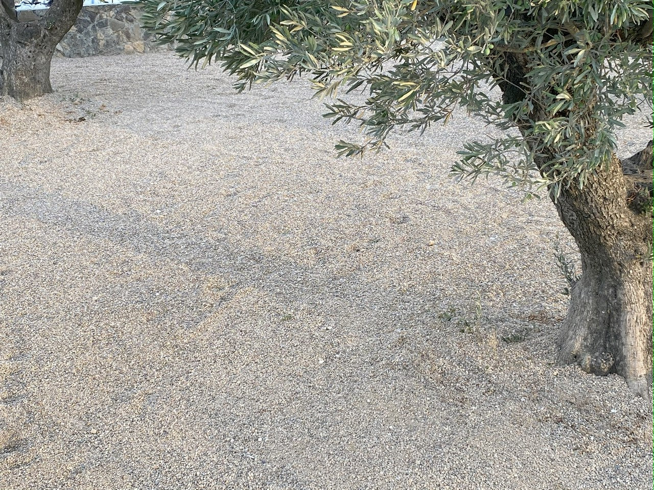 Canto rodado Rio Gris