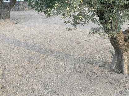 Canto rodado Rio Gris