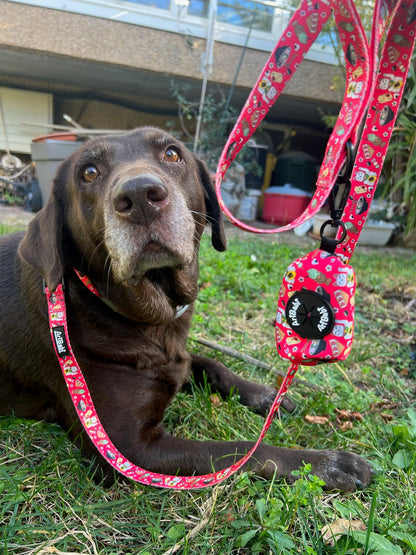 Collar Ajustable Tokio