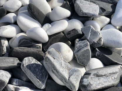 Canto rodado Dalmata