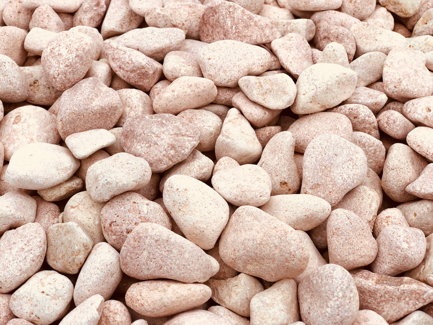 Canto rodado Rosa Toulouse