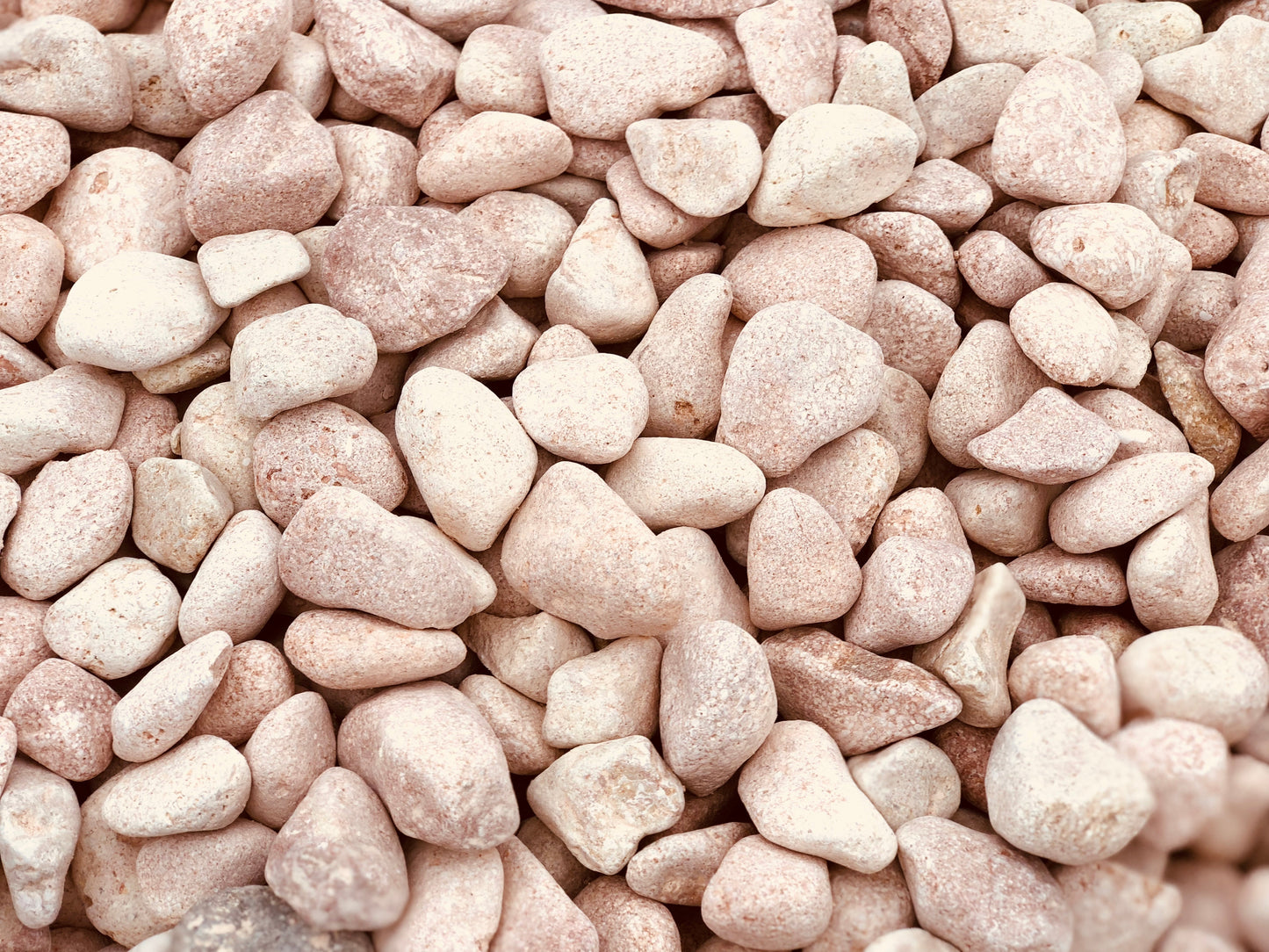 Canto rodado Rosa Toulouse