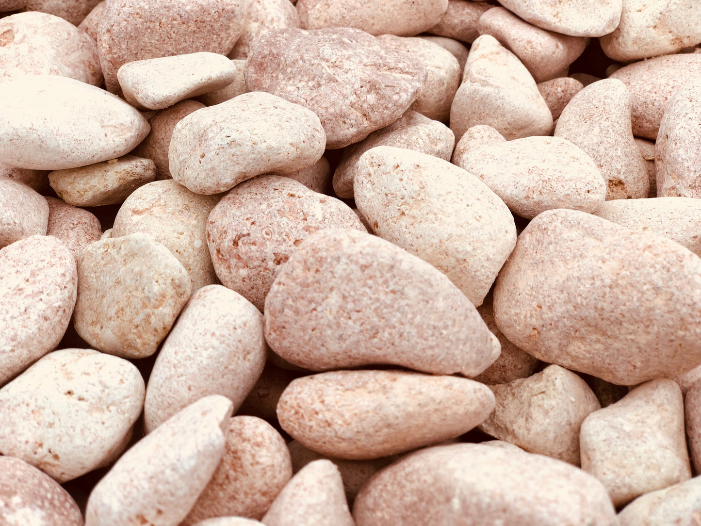 Canto rodado Rosa Toulouse