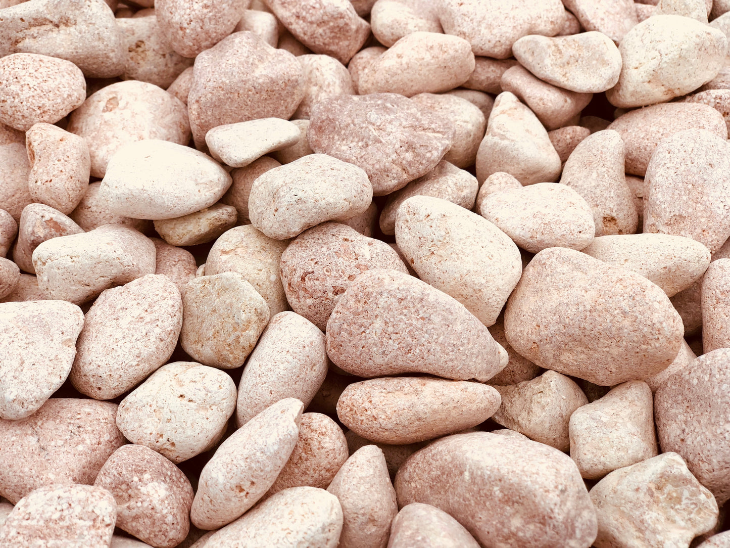 Canto rodado Rosa Toulouse