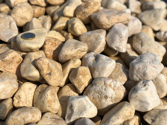 Canto rodado Amarillo Saturno