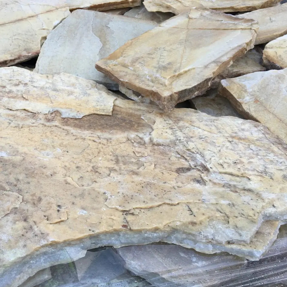 Planchoncillo Amarillo