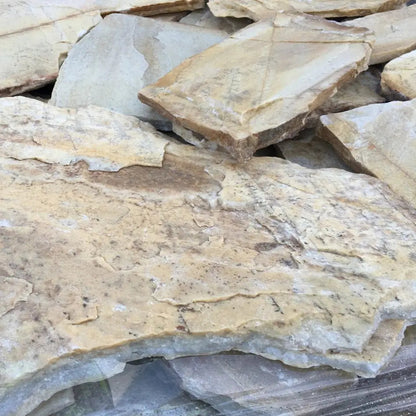 Planchoncillo Amarillo