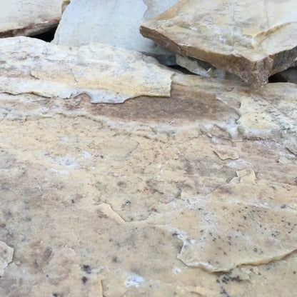 Planchoncillo Amarillo