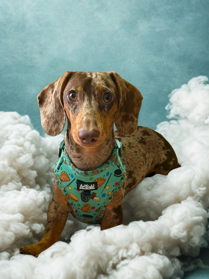 Arnés Ajustable Cookies