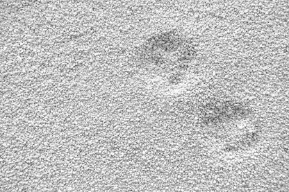 Bentonita Calcica Agricultura