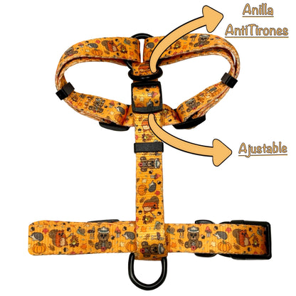 Arnés Clásico Ajustable Yosemite