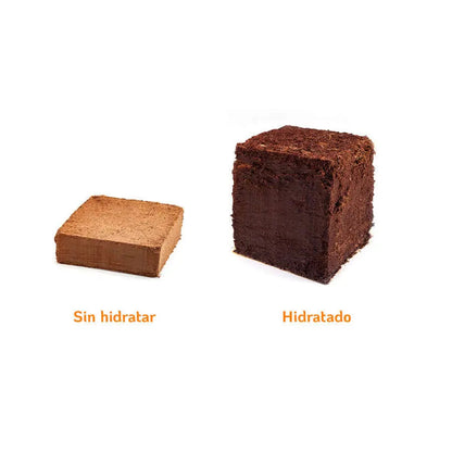 Sustrato Fibra de Coco