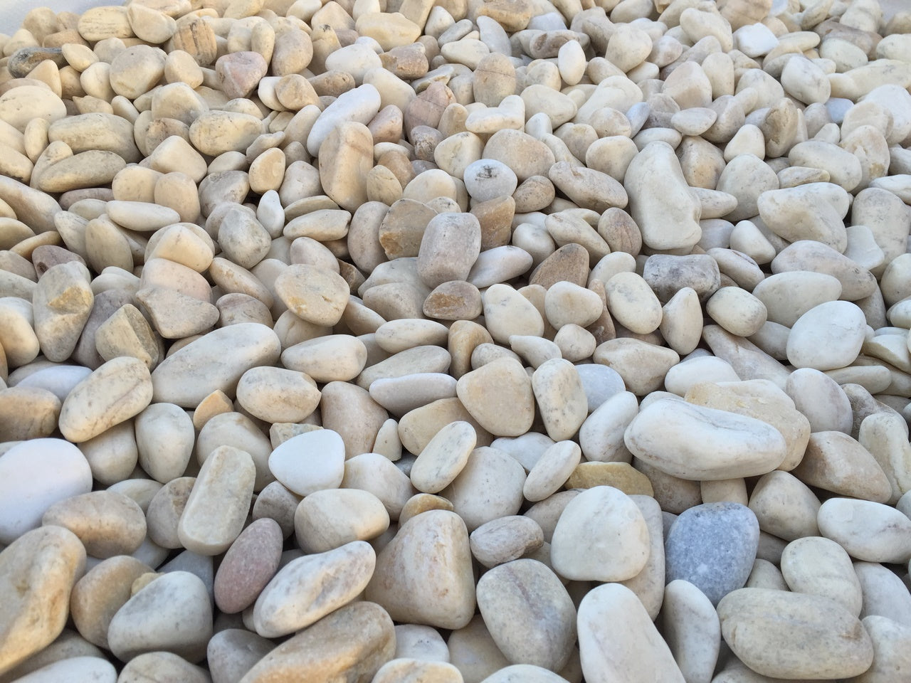 Canto rodado Amarillo Limón