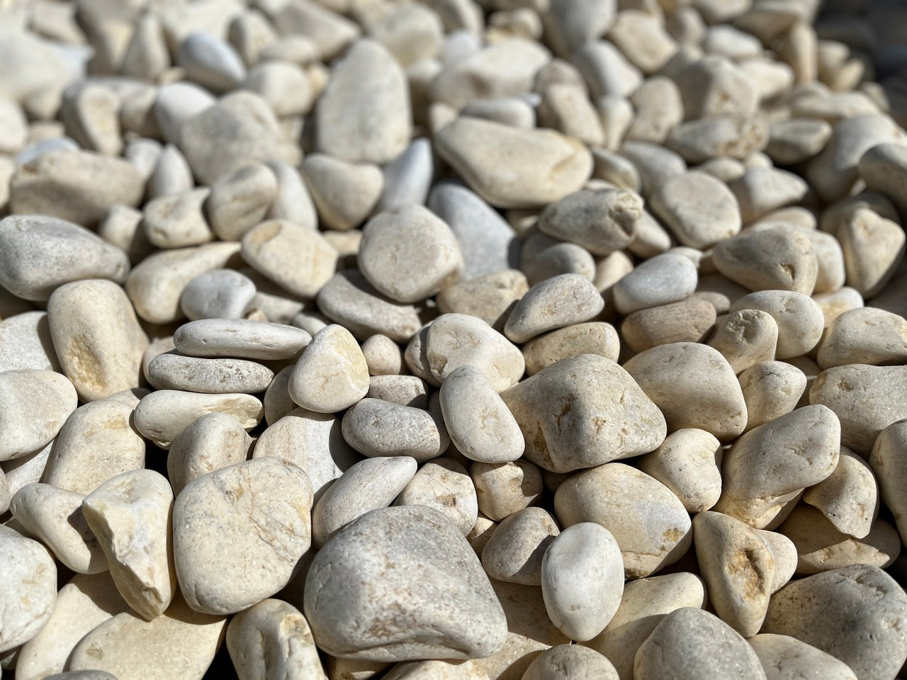 Canto rodado Amarillo Limón