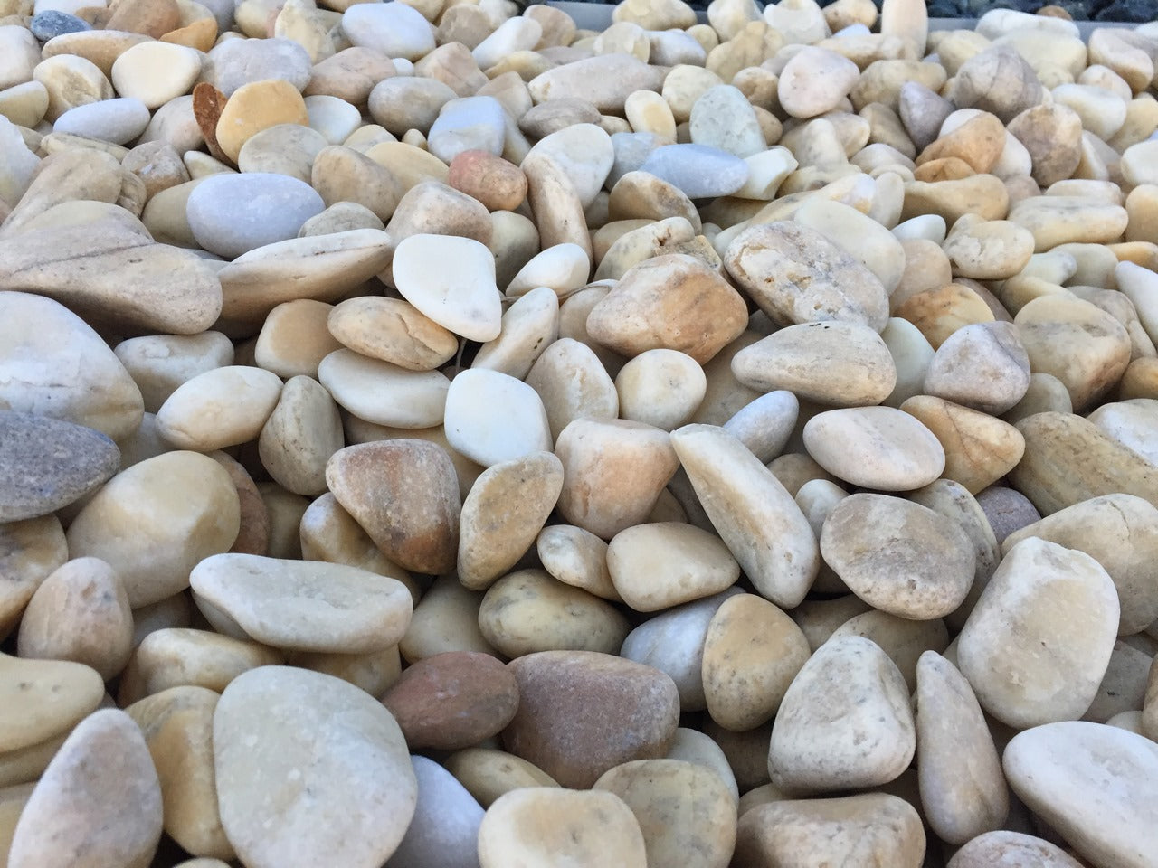 Canto rodado Amarillo Limón