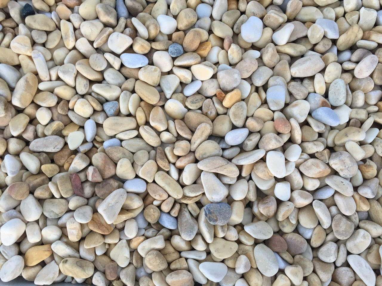 Canto rodado Amarillo Limón