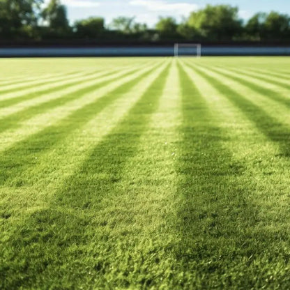 Sustrato para Césped Deportivo Premium