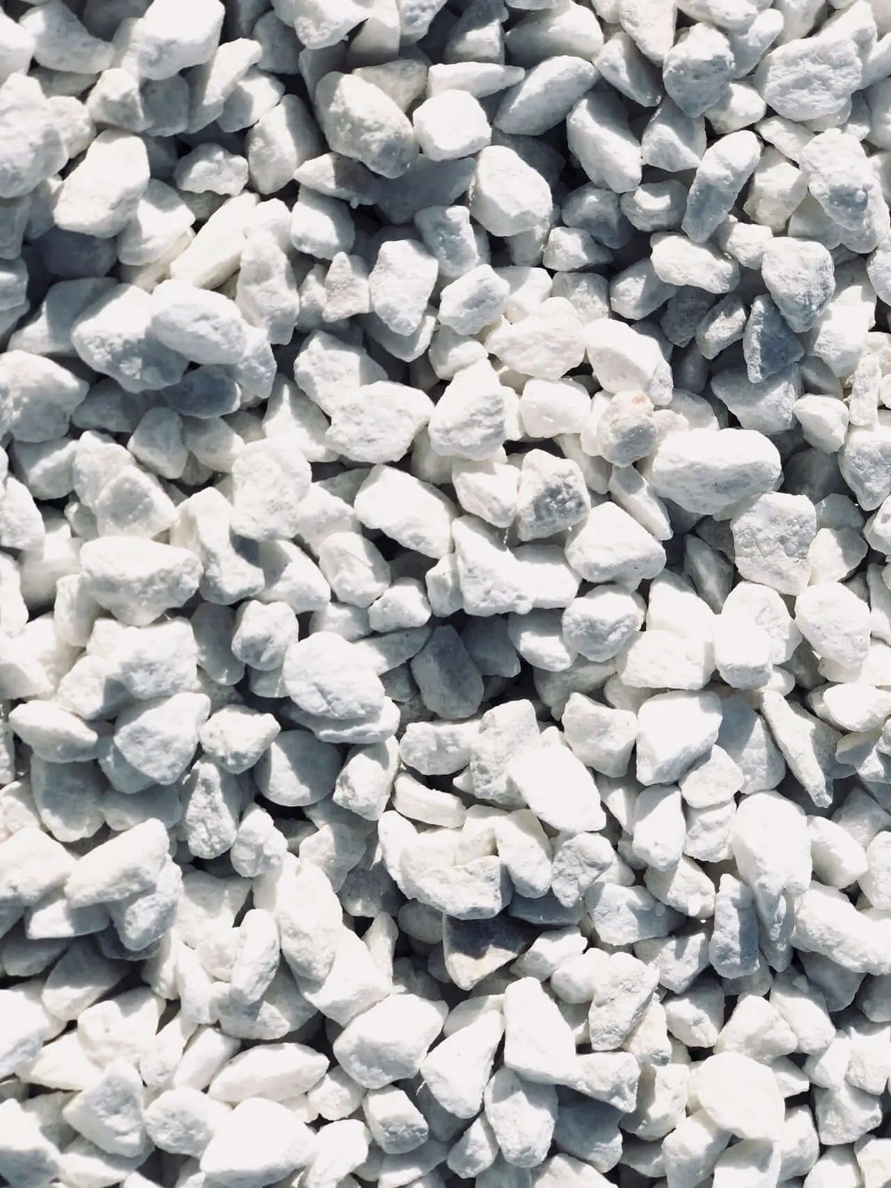 Cal Viva Dolomita Granulada | Potenciador Calcio y Magnesio