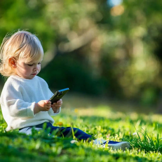 Sustrato Básico para Césped Jardín