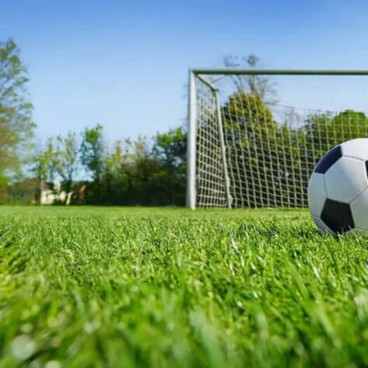 Sustrato para Césped Deportivo Premium