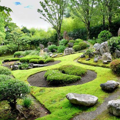 Sustrato Básico Jardín