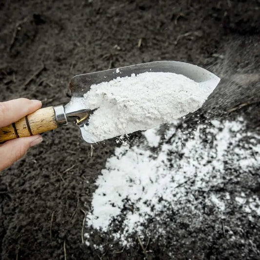 Cal Agricola Dolomita Plus