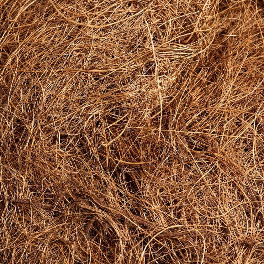 Sustrato Fibra de Coco