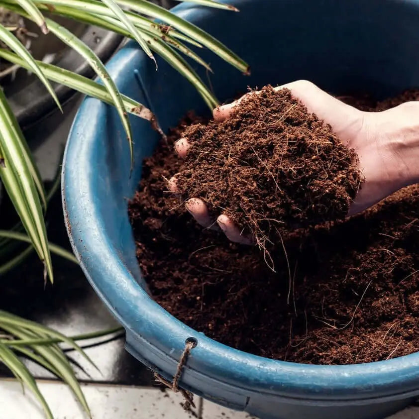 Sustrato Fibra de Coco